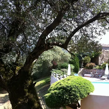 Maison Alivu منزل للإقامة Eccica-Suarella (Corsica)