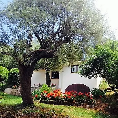 Maison Alivu *